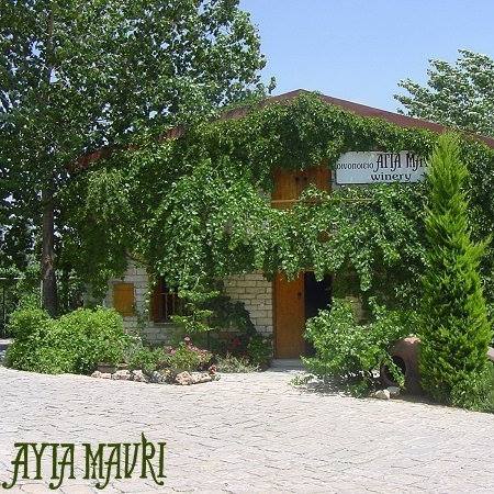 Wine Tasting: Ayia Mavri Winery Logo