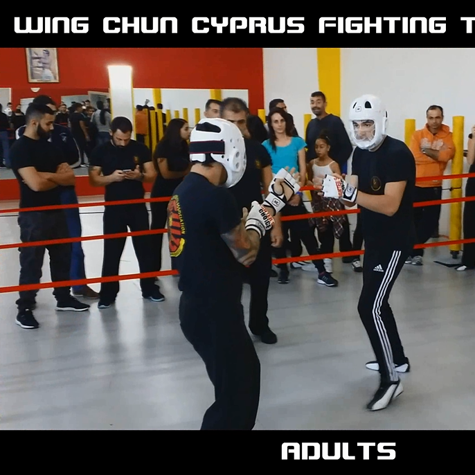 Martial Arts School: Dragon Academy Cyprus Logo