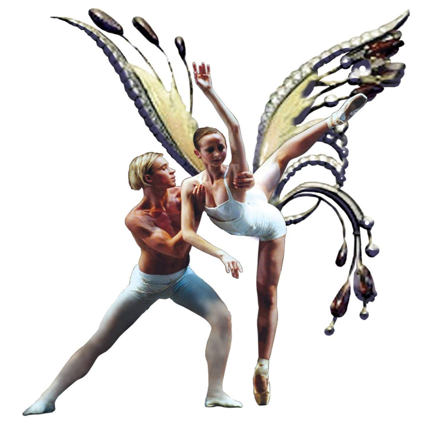 Dance School: Fly-In-Dance Logo