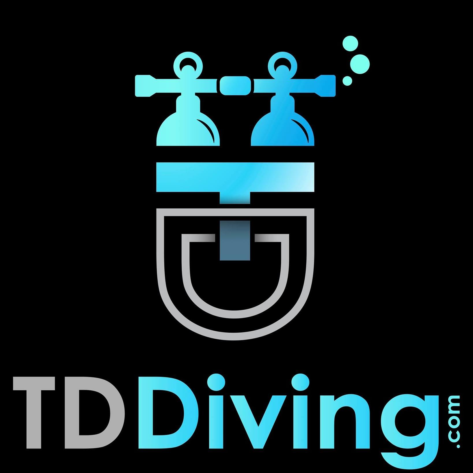 Diving Club: TD Diving Logo